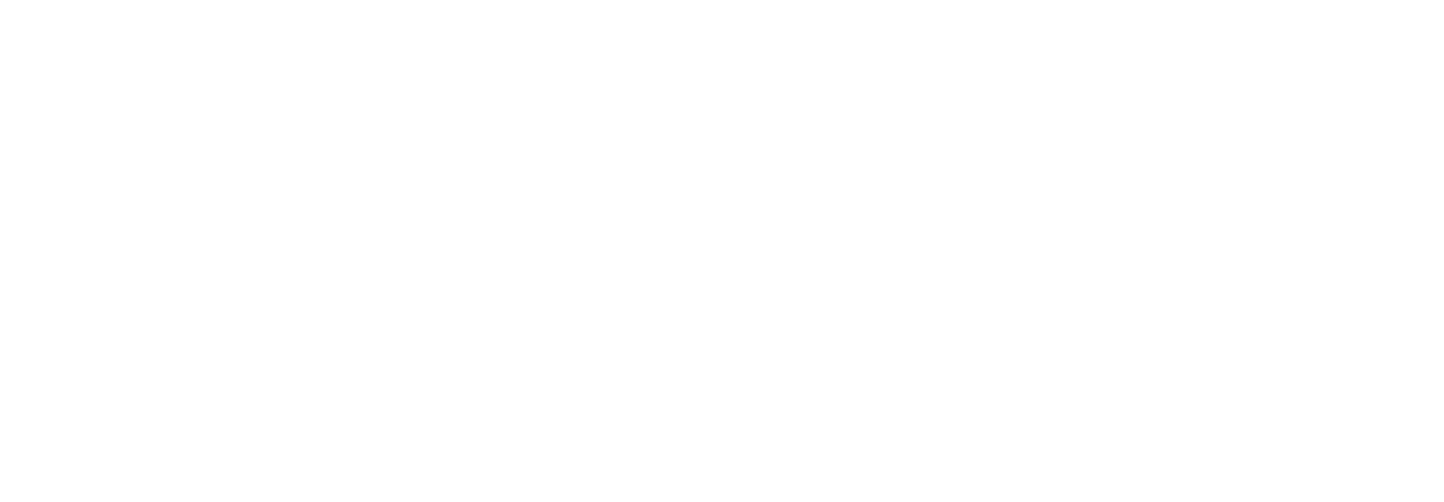 Findling Games logo white Findling Games logo white